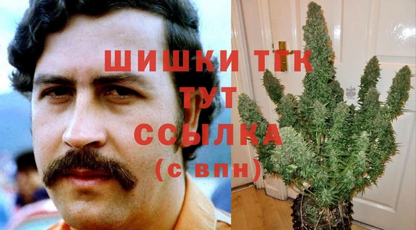 гидра Абинск